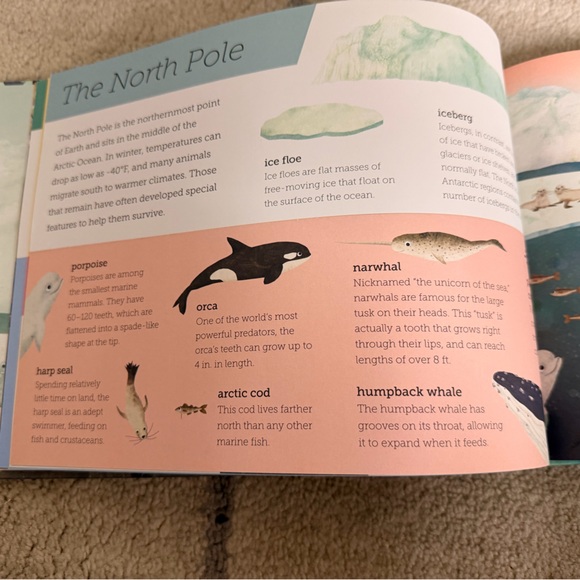 Above and Below by Hanako Clulow - Green and Yellow - Picture 2 of 4